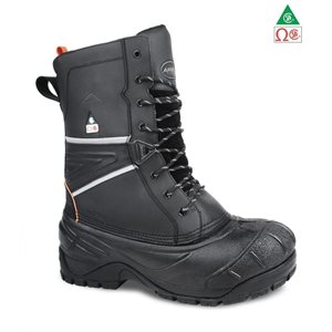 Composite toe and plate Winter Boot